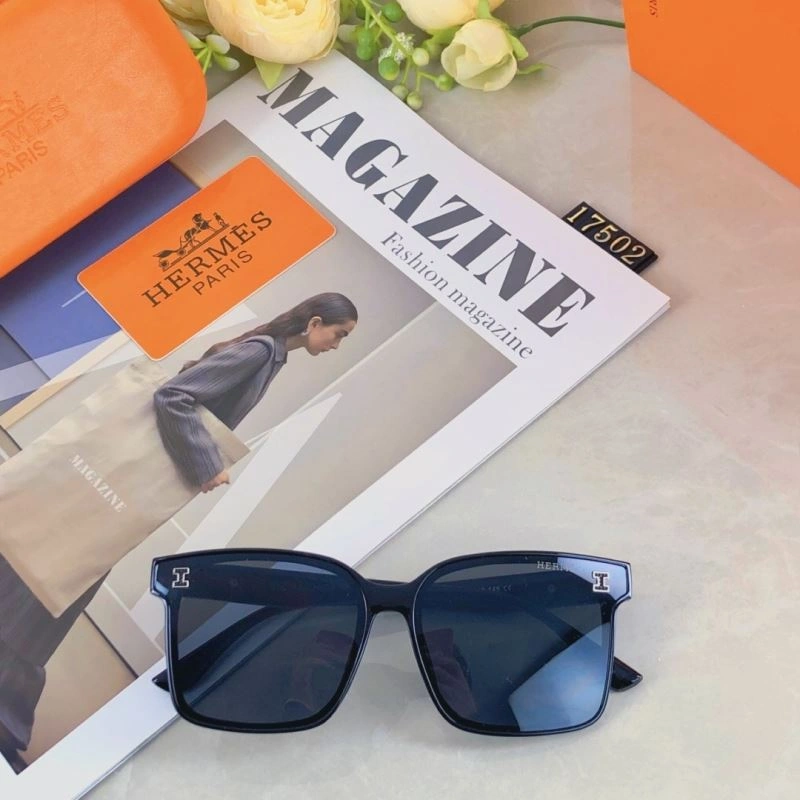 Hermes Sunglasses MultiPurpose 280184