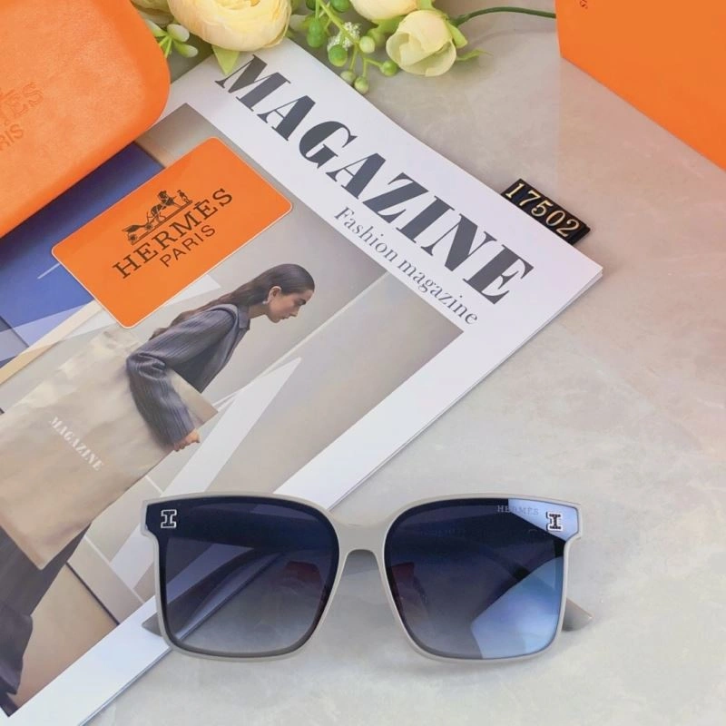 Hermes Sunglasses MultiPurpose 280184
