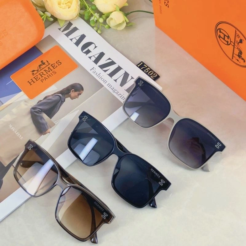 Hermes Sunglasses MultiPurpose 280184