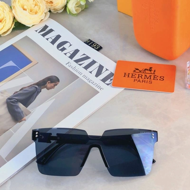 Functional Hermes Sunglasses 280172