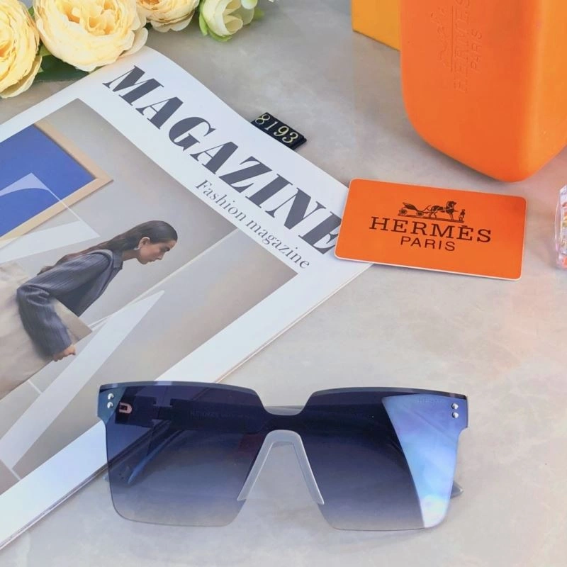 Functional Hermes Sunglasses 280172