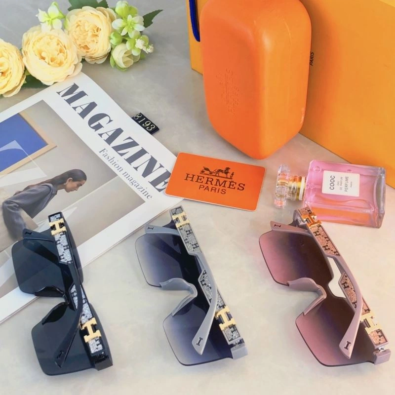 Functional Hermes Sunglasses 280172
