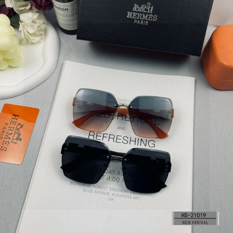 Hermes Sunglasses Youthful 280186