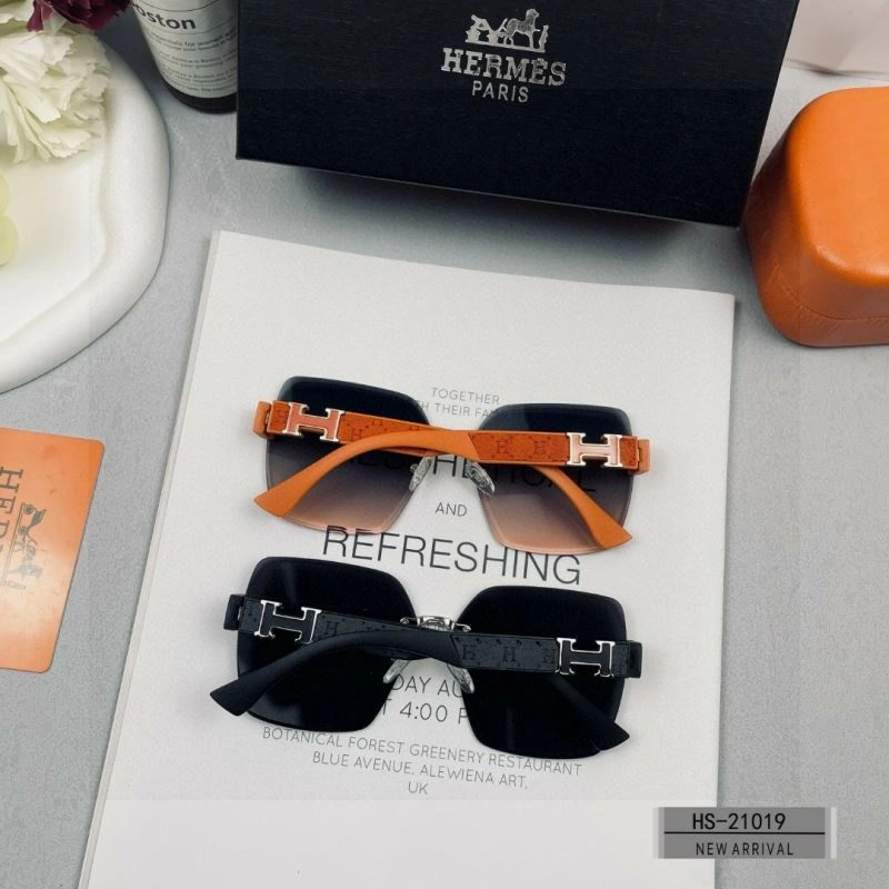 Hermes Sunglasses Youthful 280186