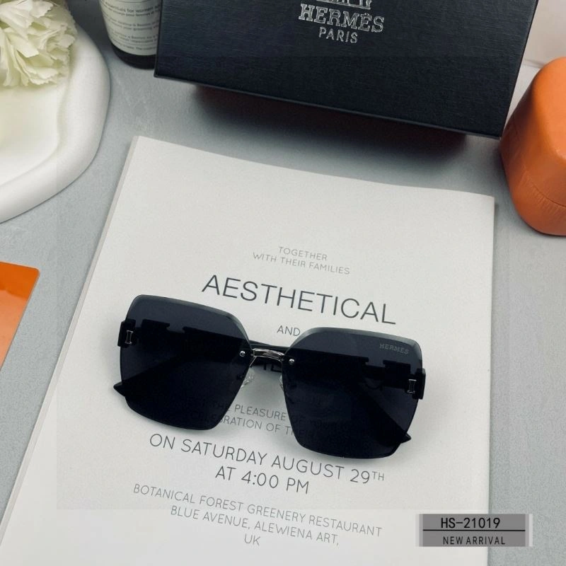 Hermes Sunglasses Youthful 280186