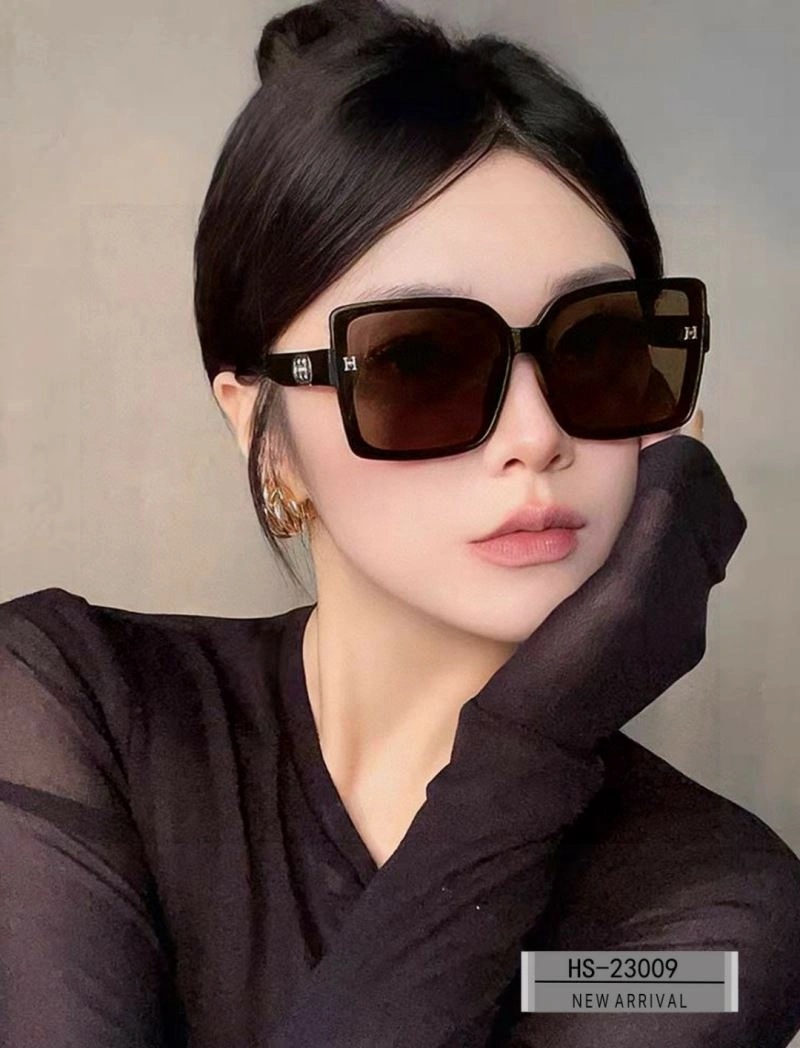 Modern Hermes Sunglasses 280181
