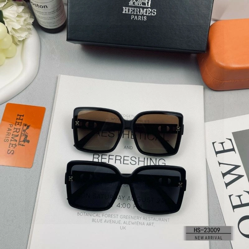 Modern Hermes Sunglasses 280181