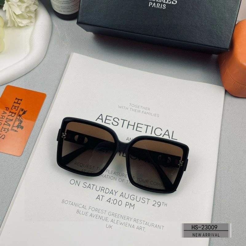 Modern Hermes Sunglasses 280181