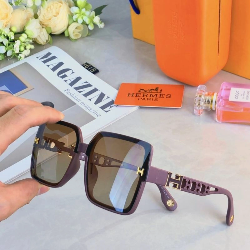 Hermes Sunglasses Thermal 280169