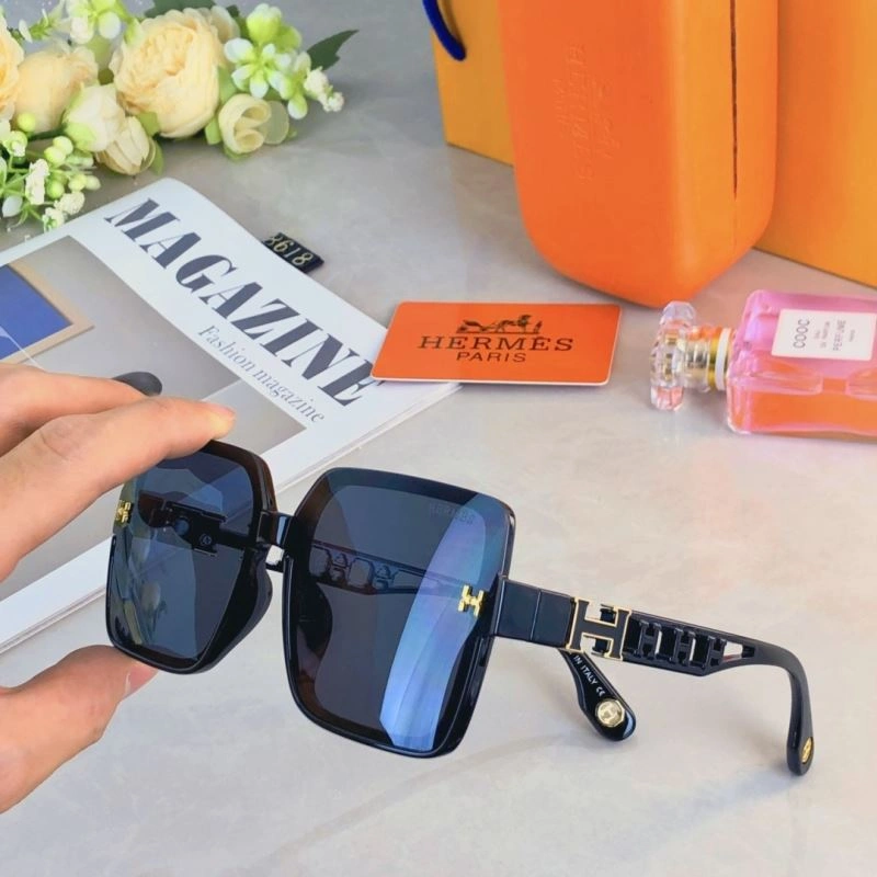 Hermes Sunglasses Thermal 280169