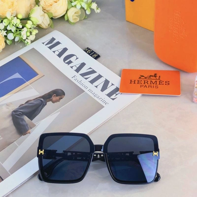 Hermes Sunglasses Thermal 280169