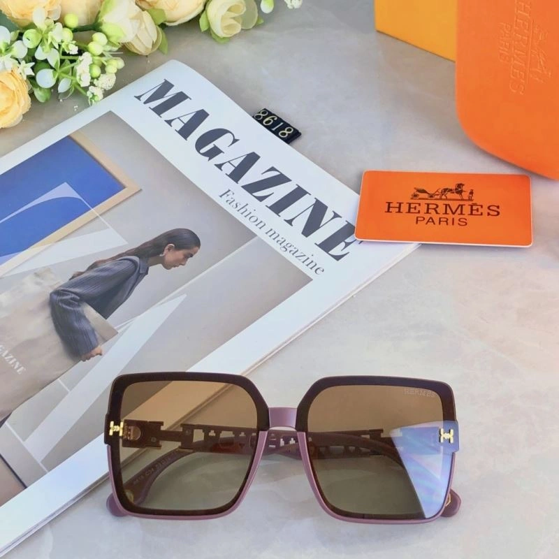 Hermes Sunglasses Thermal 280169