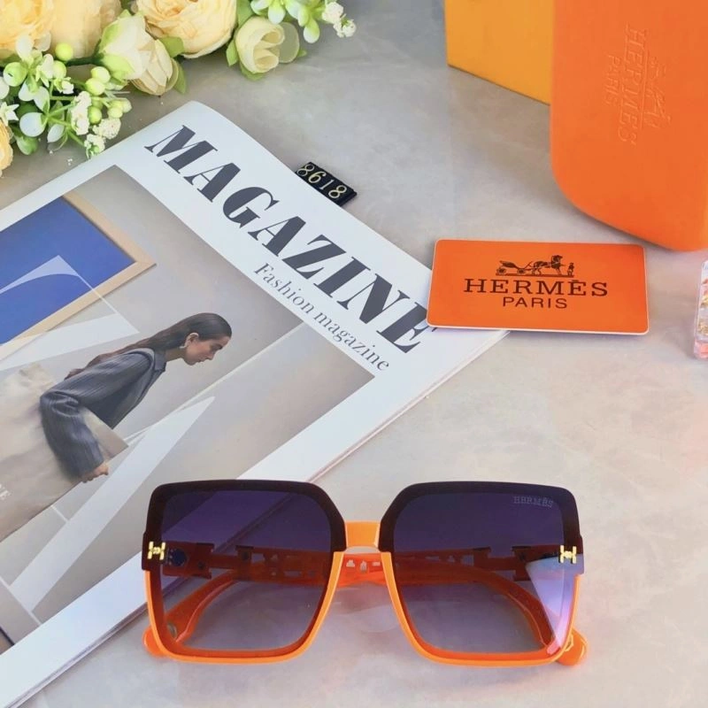 Hermes Sunglasses Thermal 280169