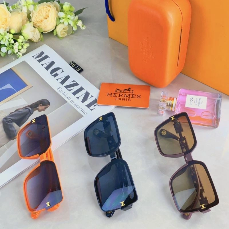 Hermes Sunglasses Thermal 280169