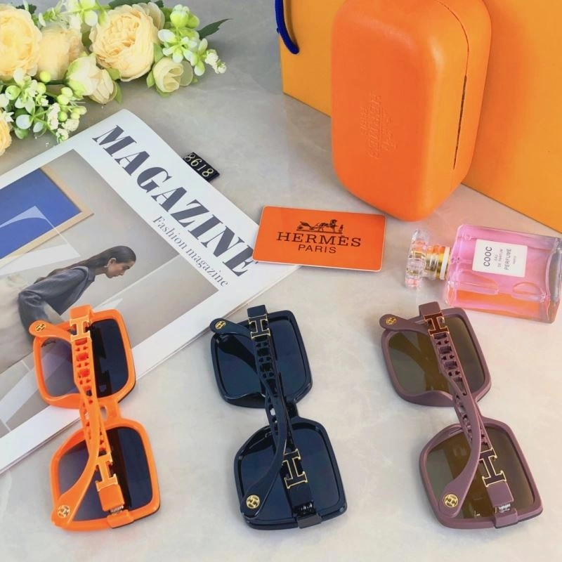 Hermes Sunglasses Thermal 280169