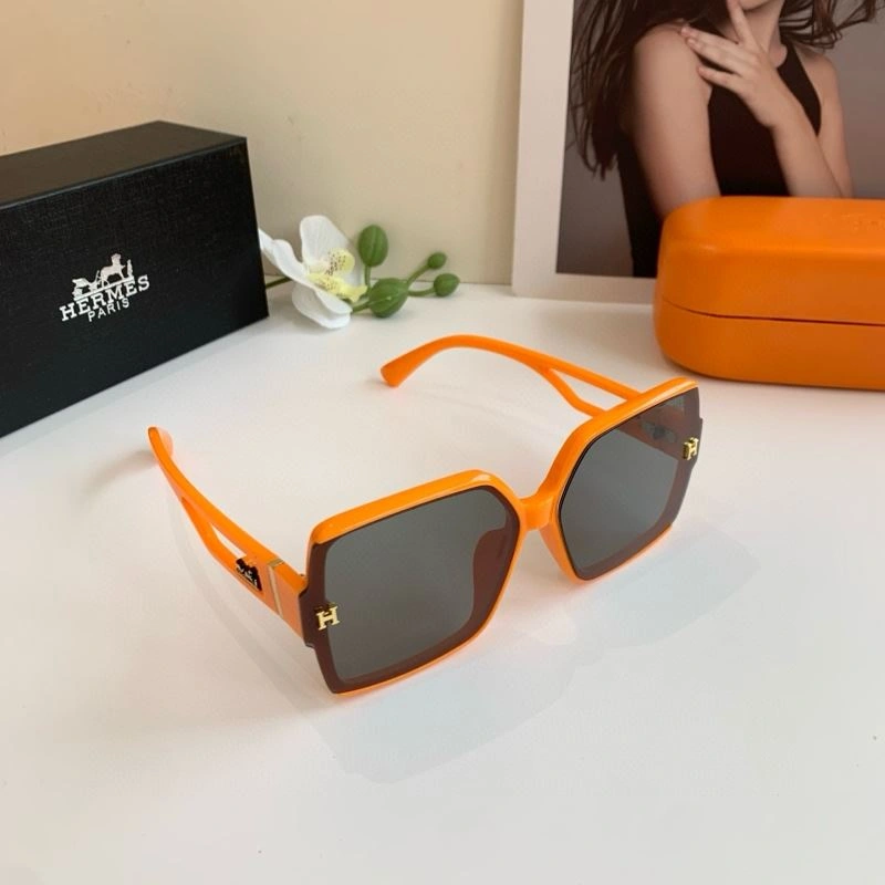 Hermes Sunglasses WeatherProof 280164