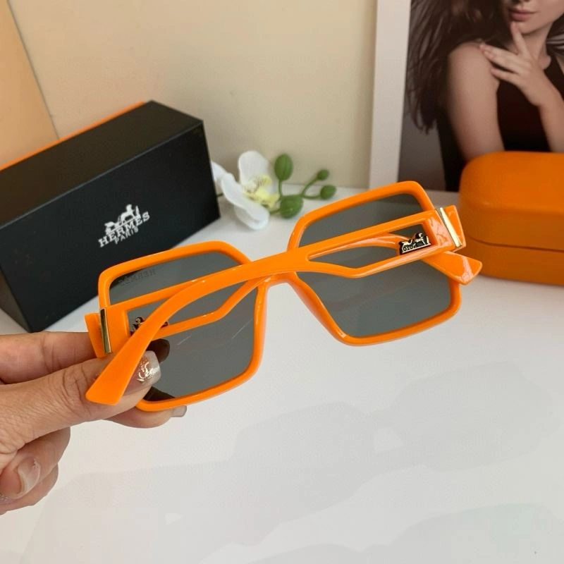 Hermes Sunglasses WeatherProof 280164