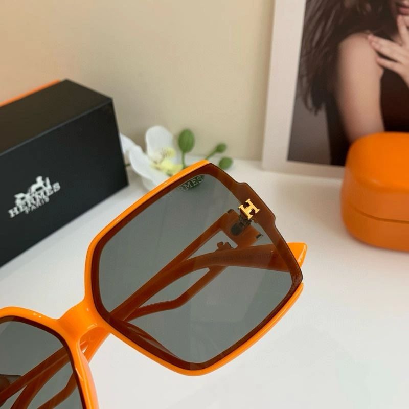 Hermes Sunglasses WeatherProof 280164