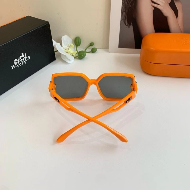 Hermes Sunglasses WeatherProof 280164