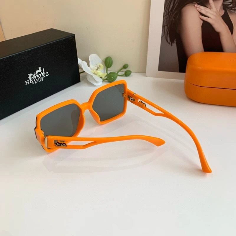 Hermes Sunglasses WeatherProof 280164