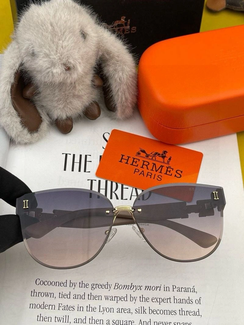 Minimalist Hermes Sunglasses 280221