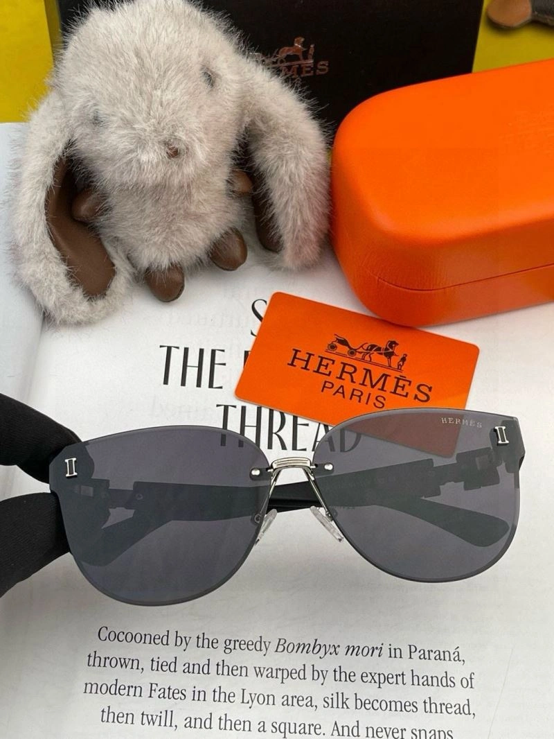 Minimalist Hermes Sunglasses 280221