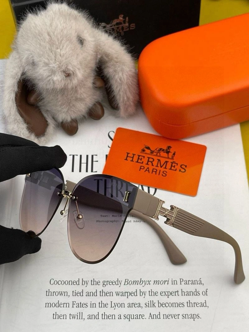 Minimalist Hermes Sunglasses 280221