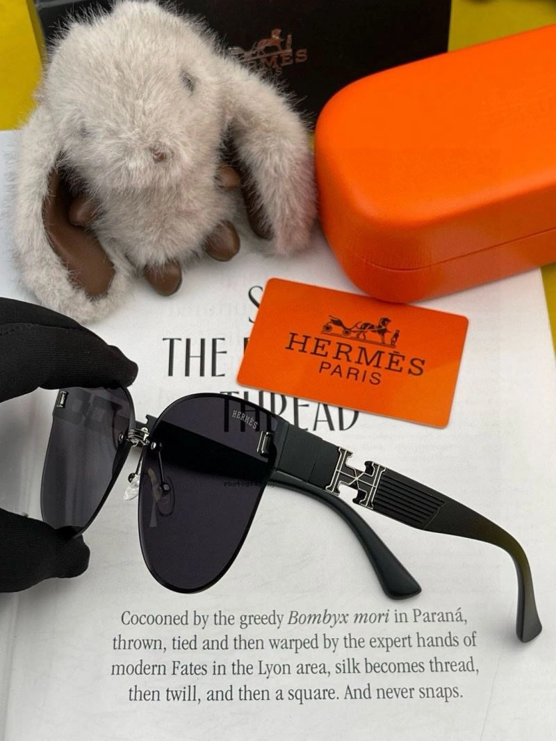 Minimalist Hermes Sunglasses 280221