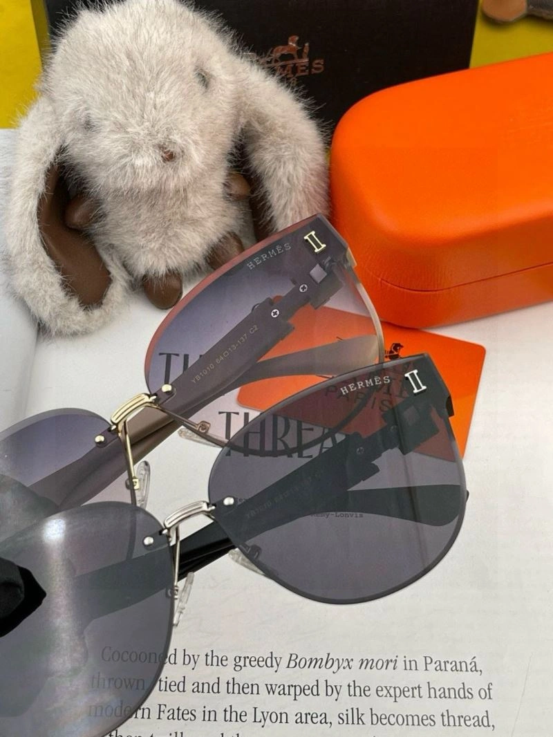 Minimalist Hermes Sunglasses 280221