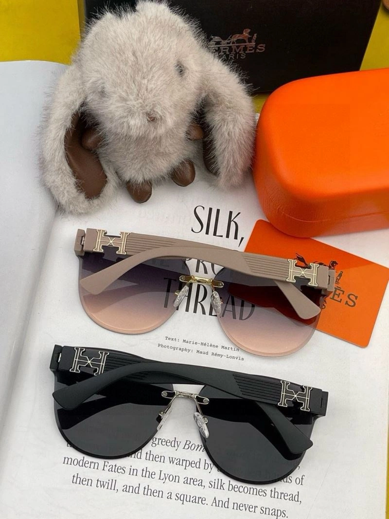 Minimalist Hermes Sunglasses 280221