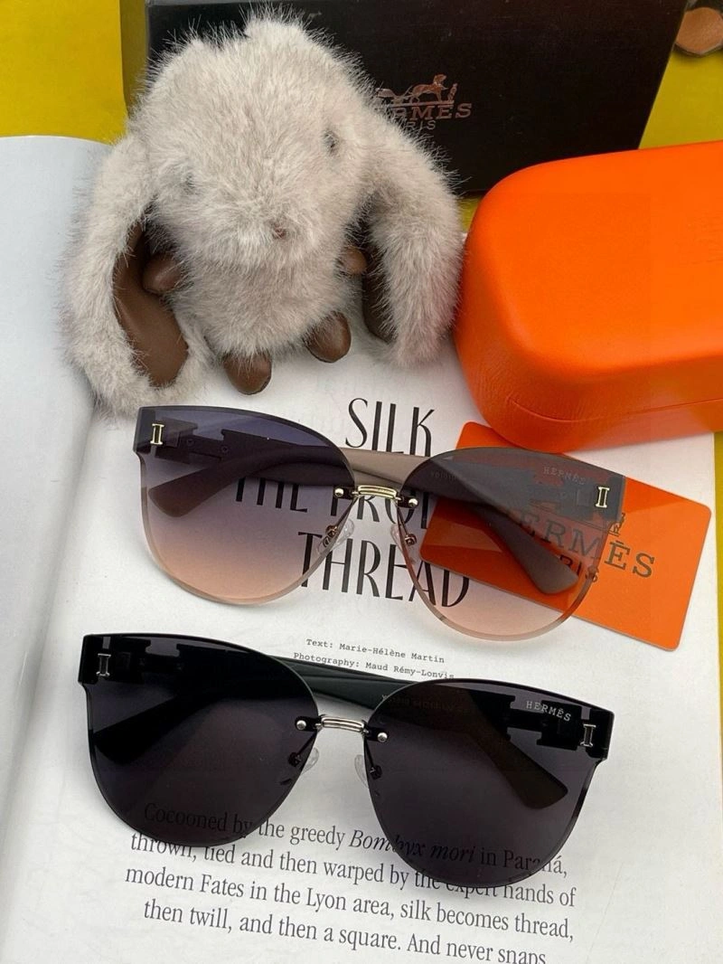 Minimalist Hermes Sunglasses 280221