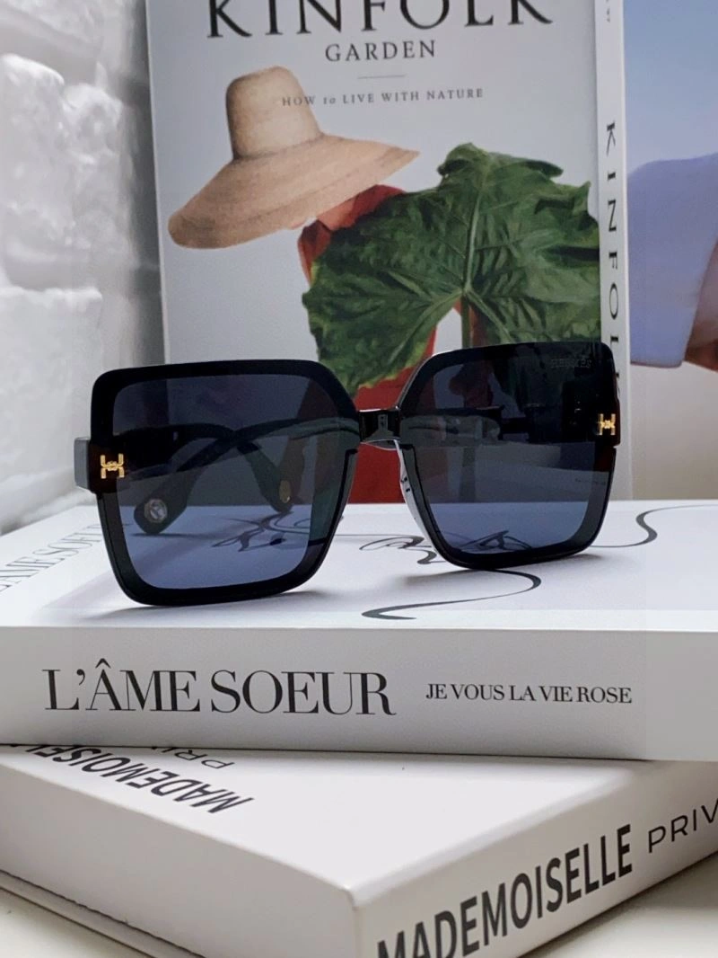 Durable Hermes Sunglasses 280220