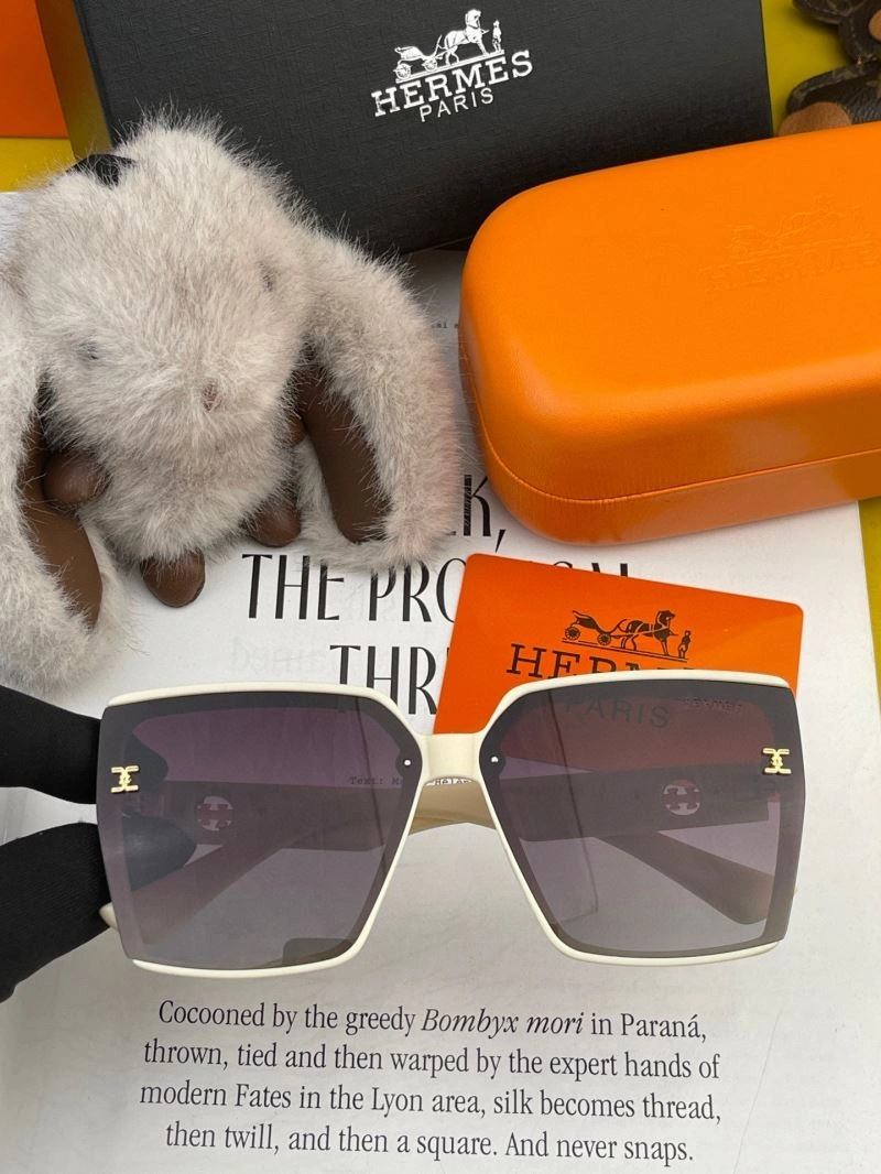 GoAnywhere Hermes Sunglasses 280229