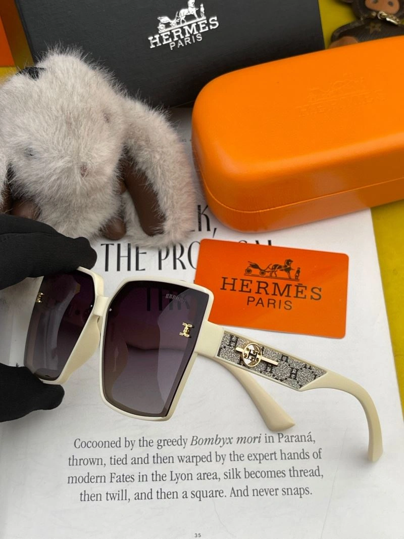 GoAnywhere Hermes Sunglasses 280229