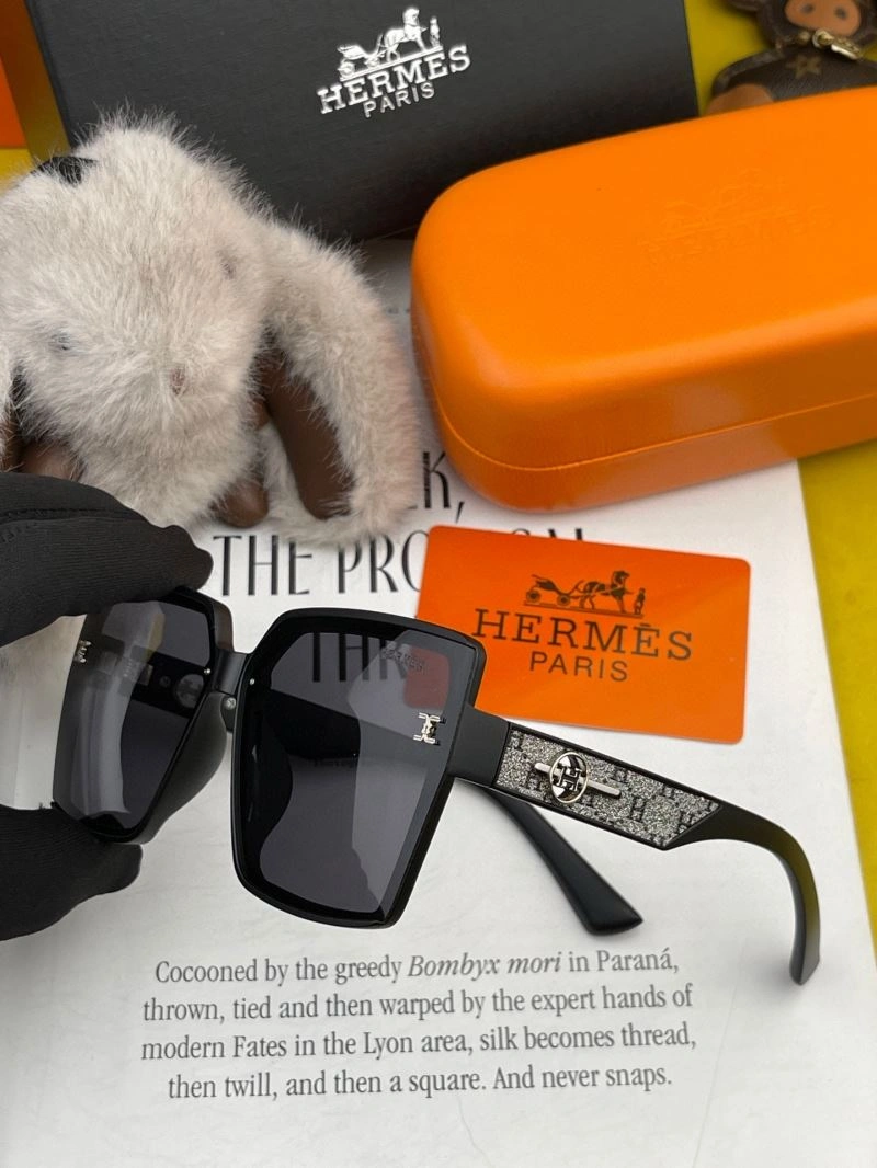 GoAnywhere Hermes Sunglasses 280229