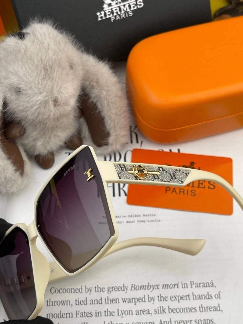 GoAnywhere Hermes Sunglasses 280229