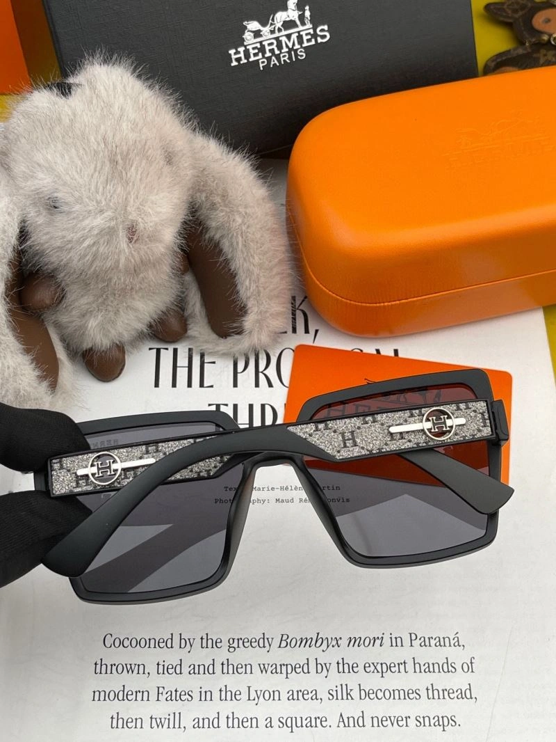GoAnywhere Hermes Sunglasses 280229