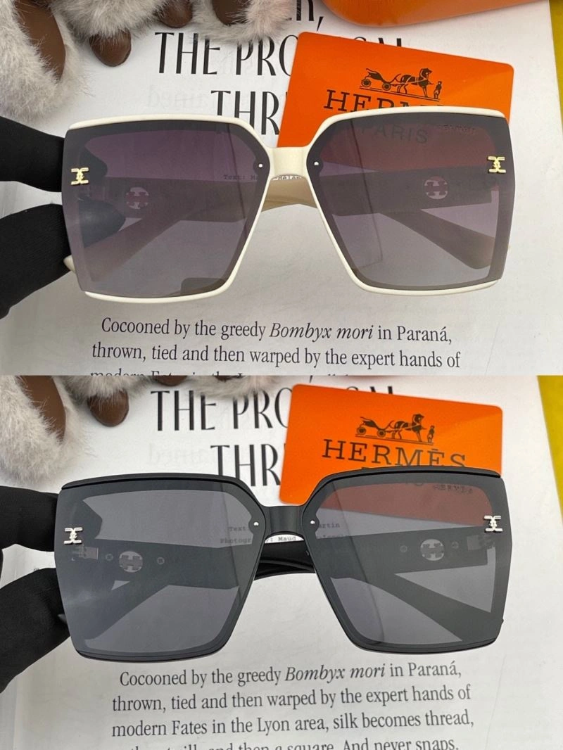 GoAnywhere Hermes Sunglasses 280229