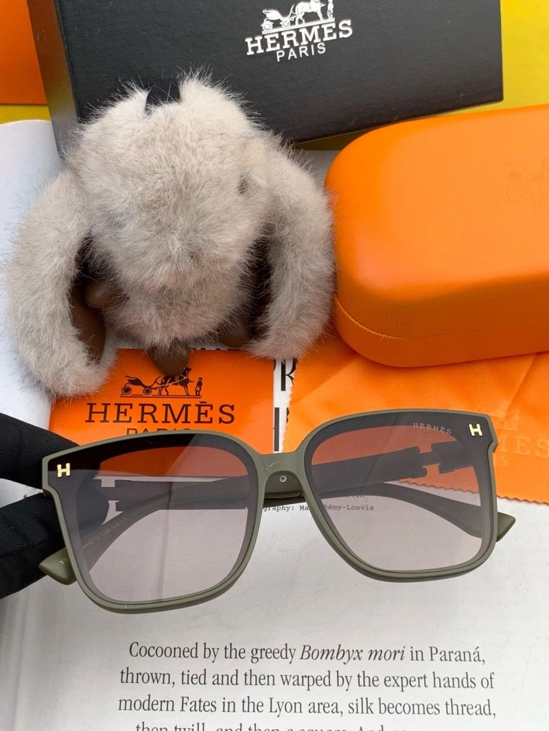 Hermes Sunglasses ZipUp 280208