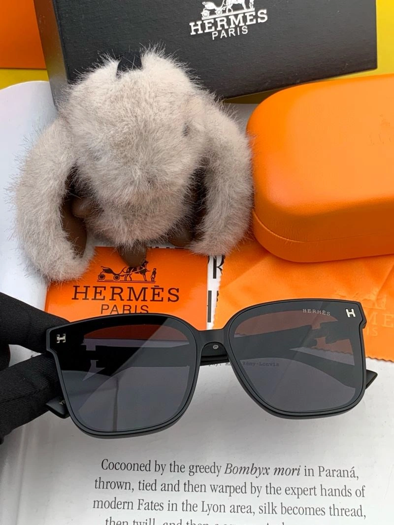 Hermes Sunglasses ZipUp 280208