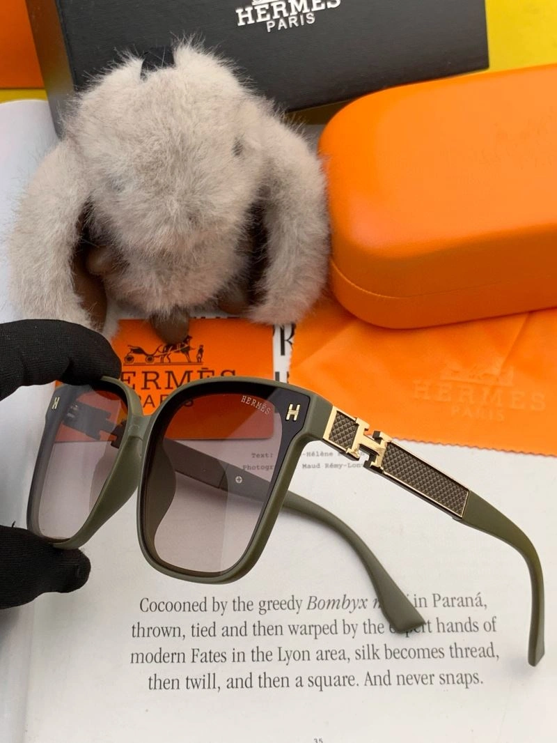 Hermes Sunglasses ZipUp 280208