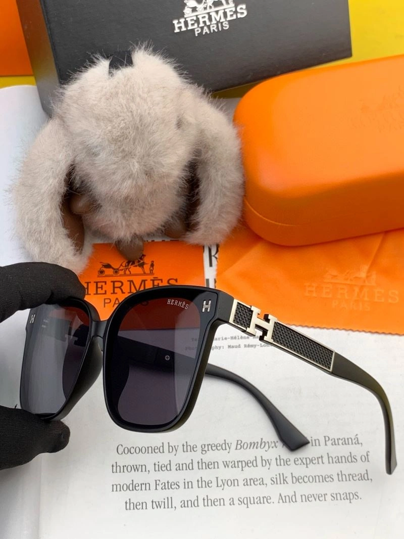 Hermes Sunglasses ZipUp 280208