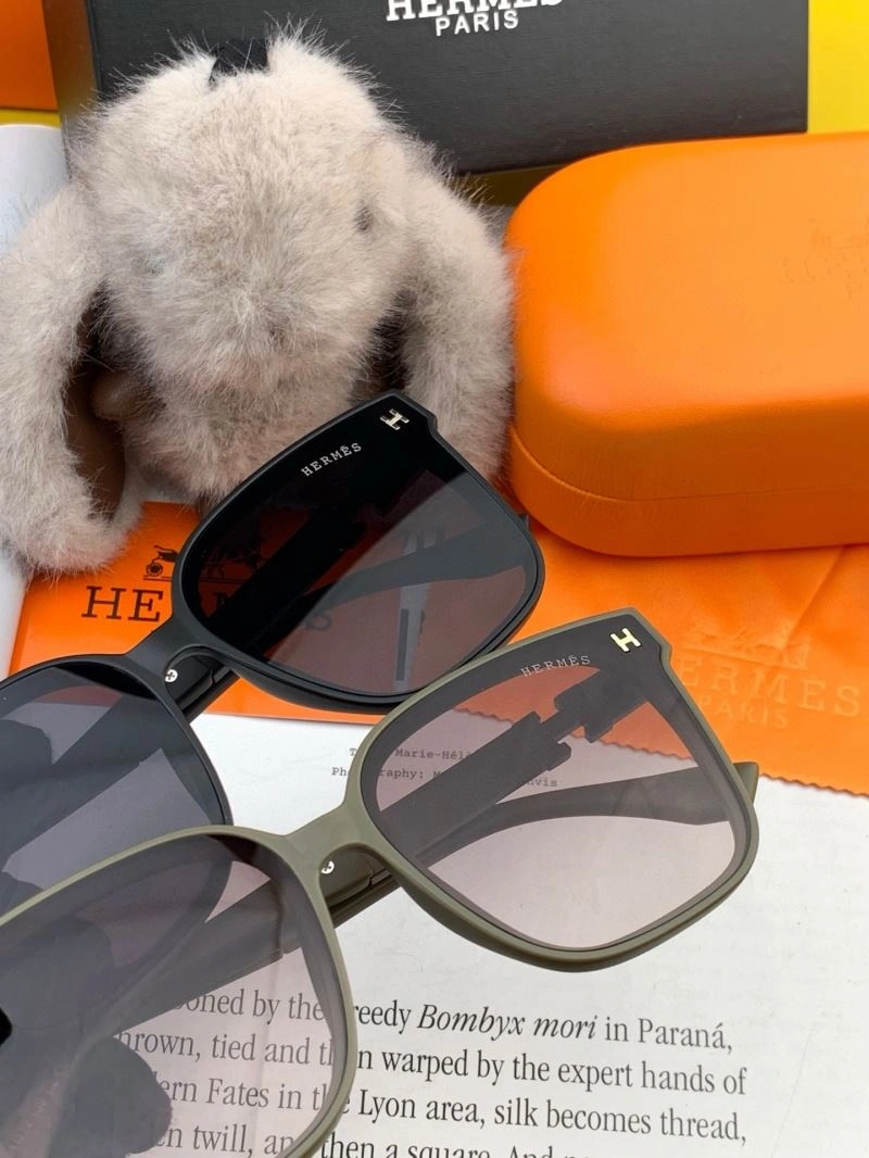 Hermes Sunglasses ZipUp 280208