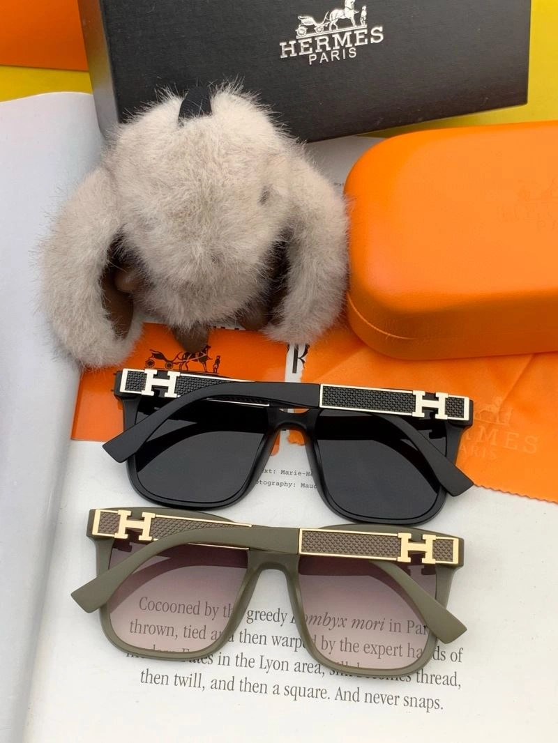 Hermes Sunglasses ZipUp 280208