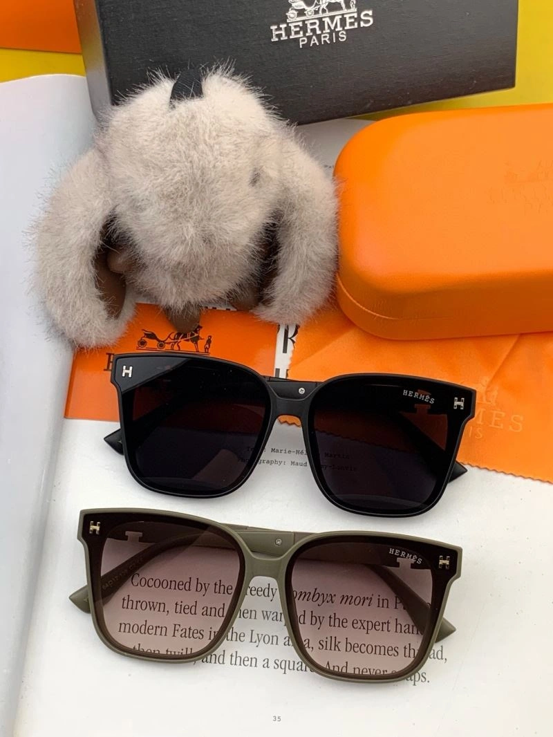 Hermes Sunglasses ZipUp 280208