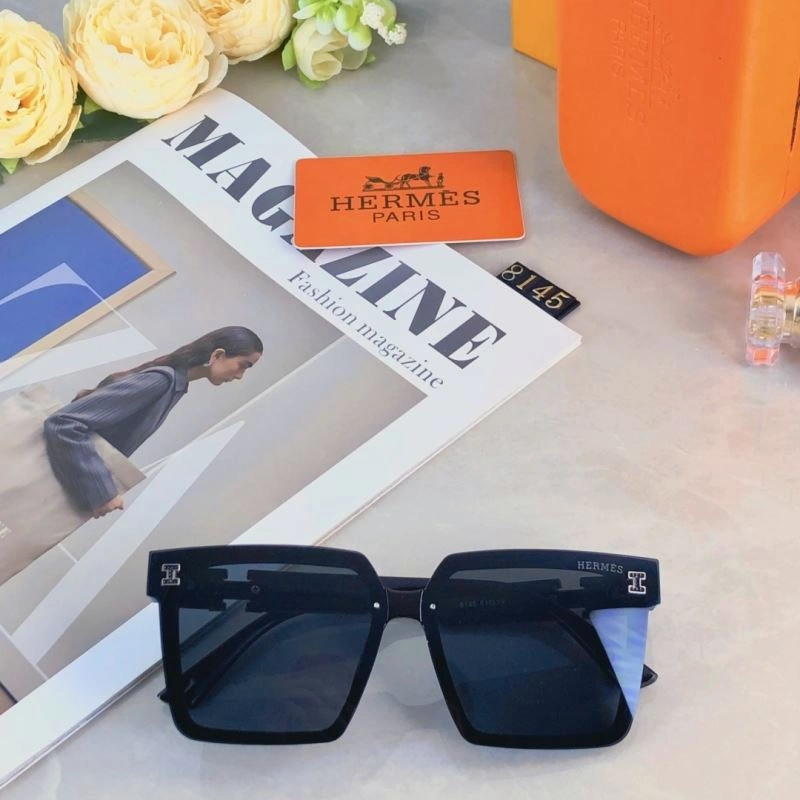 Hermes Sunglasses EyeCatching 280205