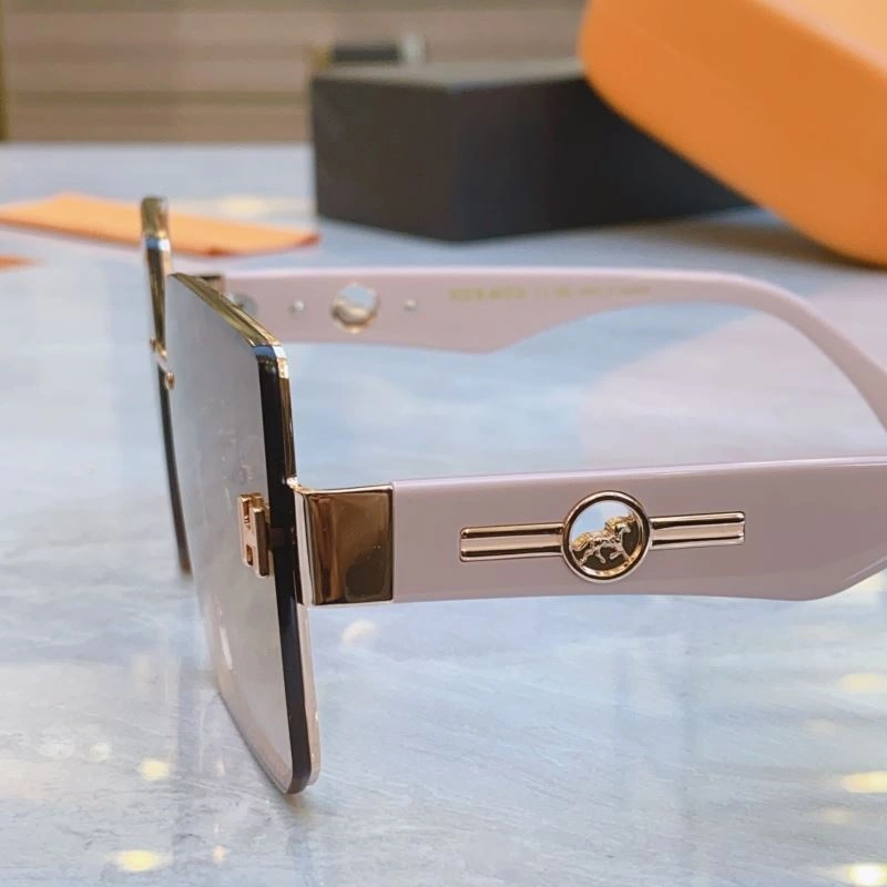 Hermes Sunglasses FreshLook 280202