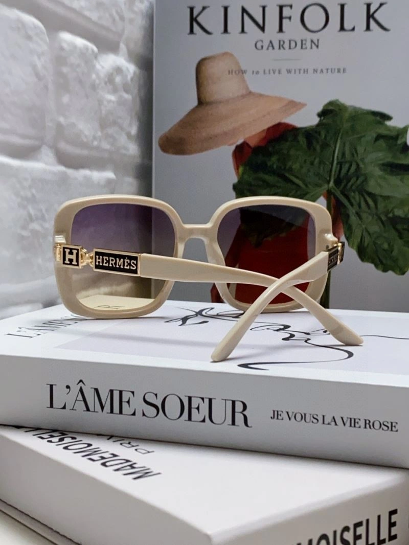 Hermes Sunglasses Modern 280176