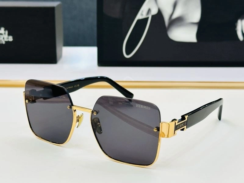 Functional Hermes Sunglasses 280192