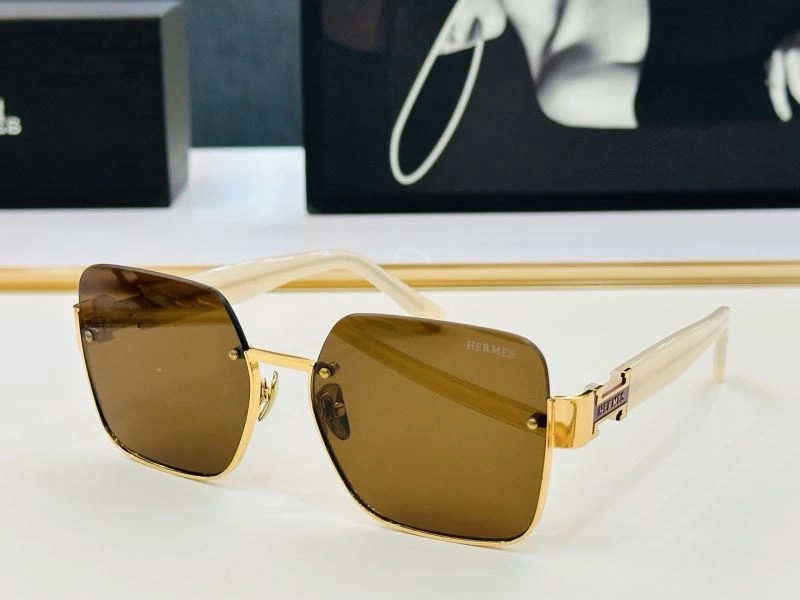 Functional Hermes Sunglasses 280192